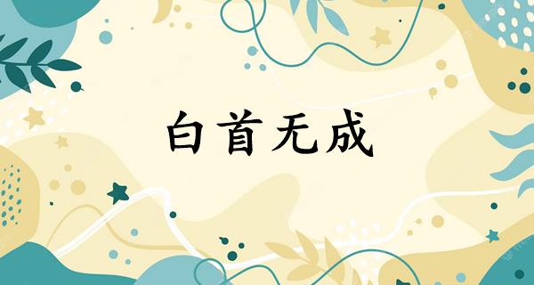 白首无成