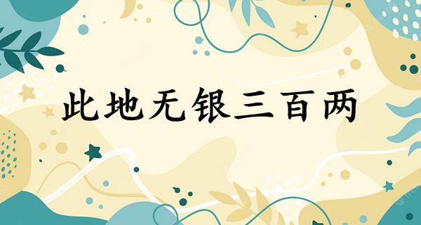 此地无银三百两
