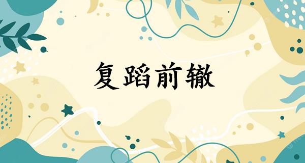 复蹈前辙