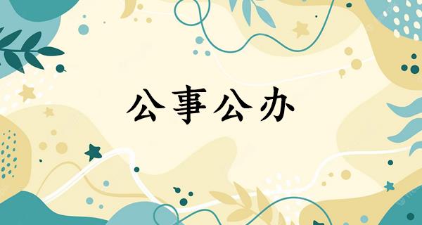 公事公办