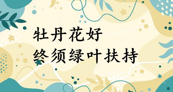 牡丹花好,终须绿叶扶持