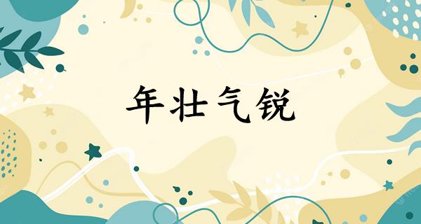 年壮气锐