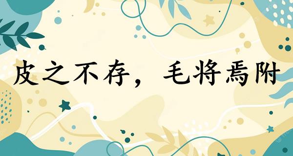 皮之不存,毛将焉附