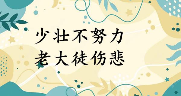 少壮不努力,老大徒伤悲