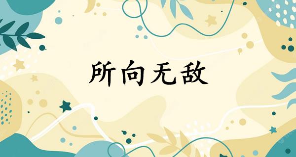 所向无敌