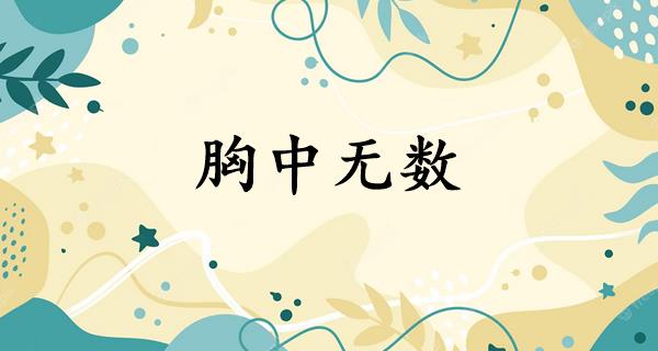 胸中无数