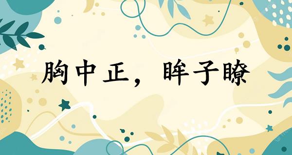 胸中正，眸子瞭