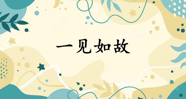 一见如故