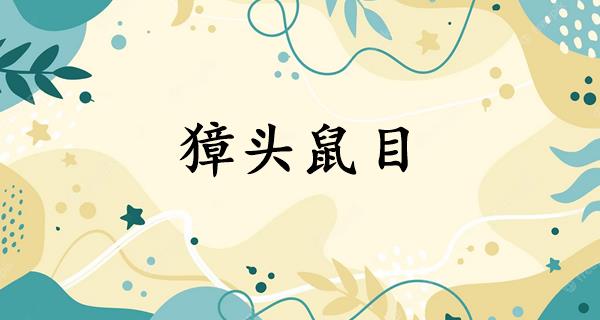 獐头鼠目