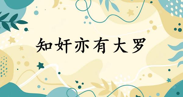 知奸亦有大罗