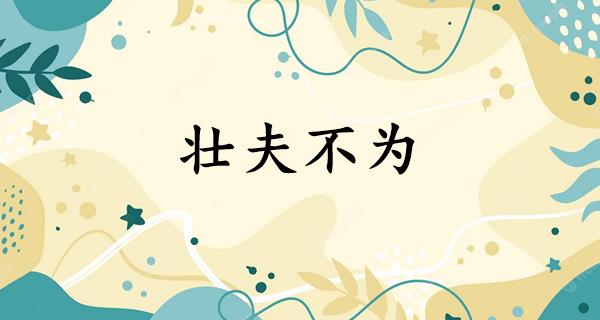 壮夫不为
