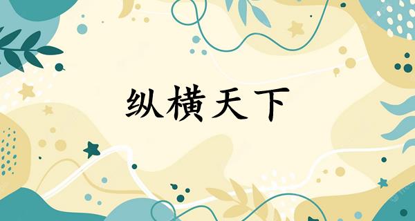 纵横天下